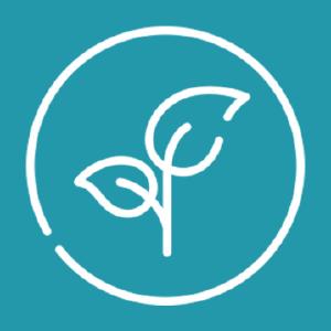 «Контекст». Уровень C. Вариант 01